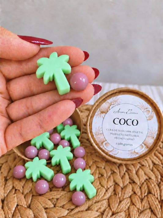 Wax Melt Especial de Coco