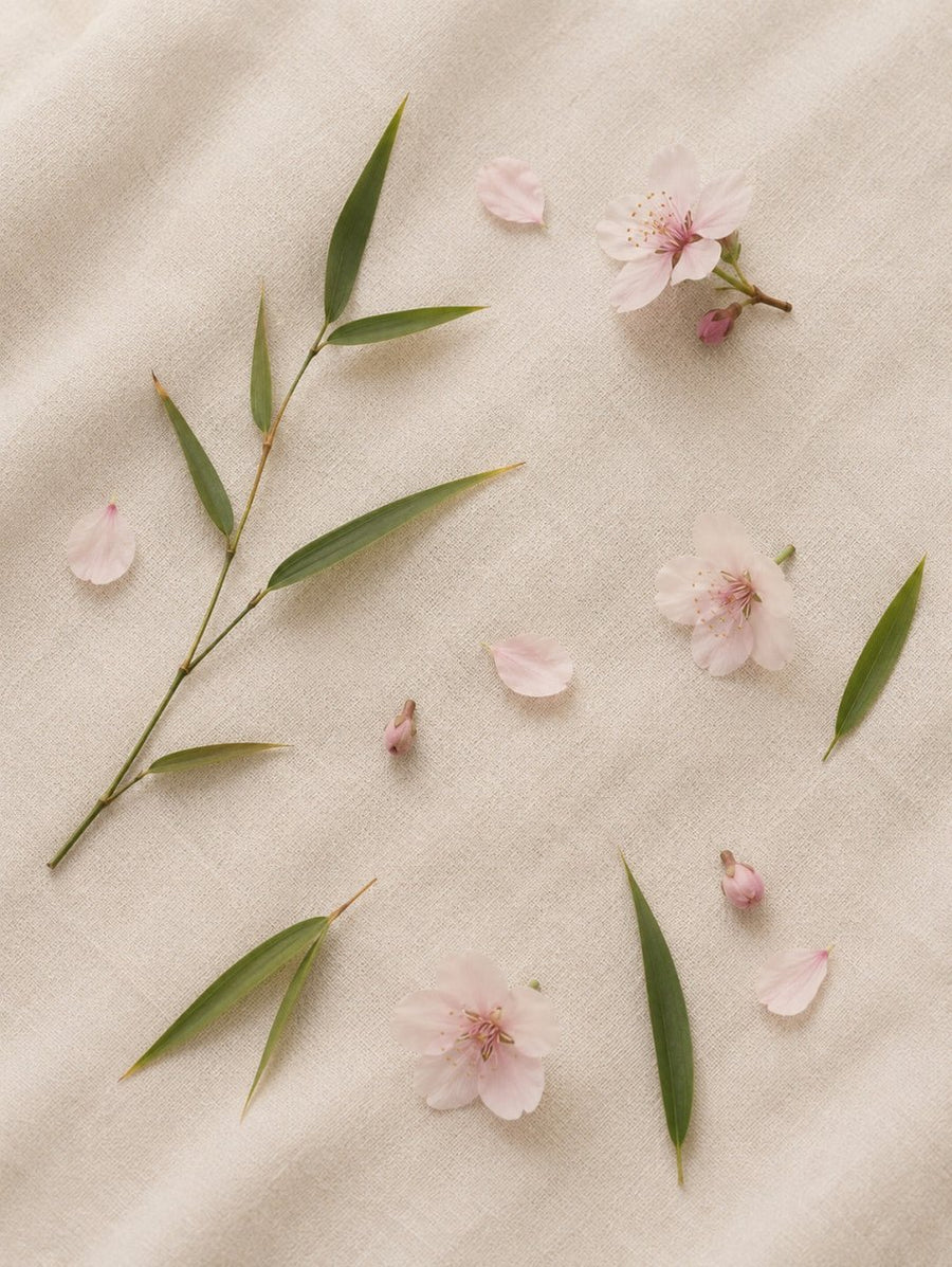 Cerezos en Flor