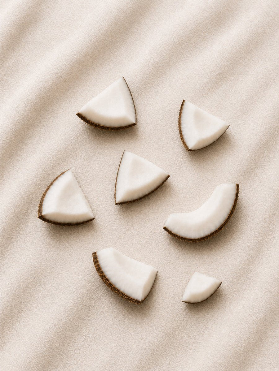 Paraíso de Coco