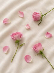 Pétalos de Rosas