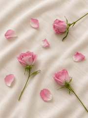 Pétalos de Rosas