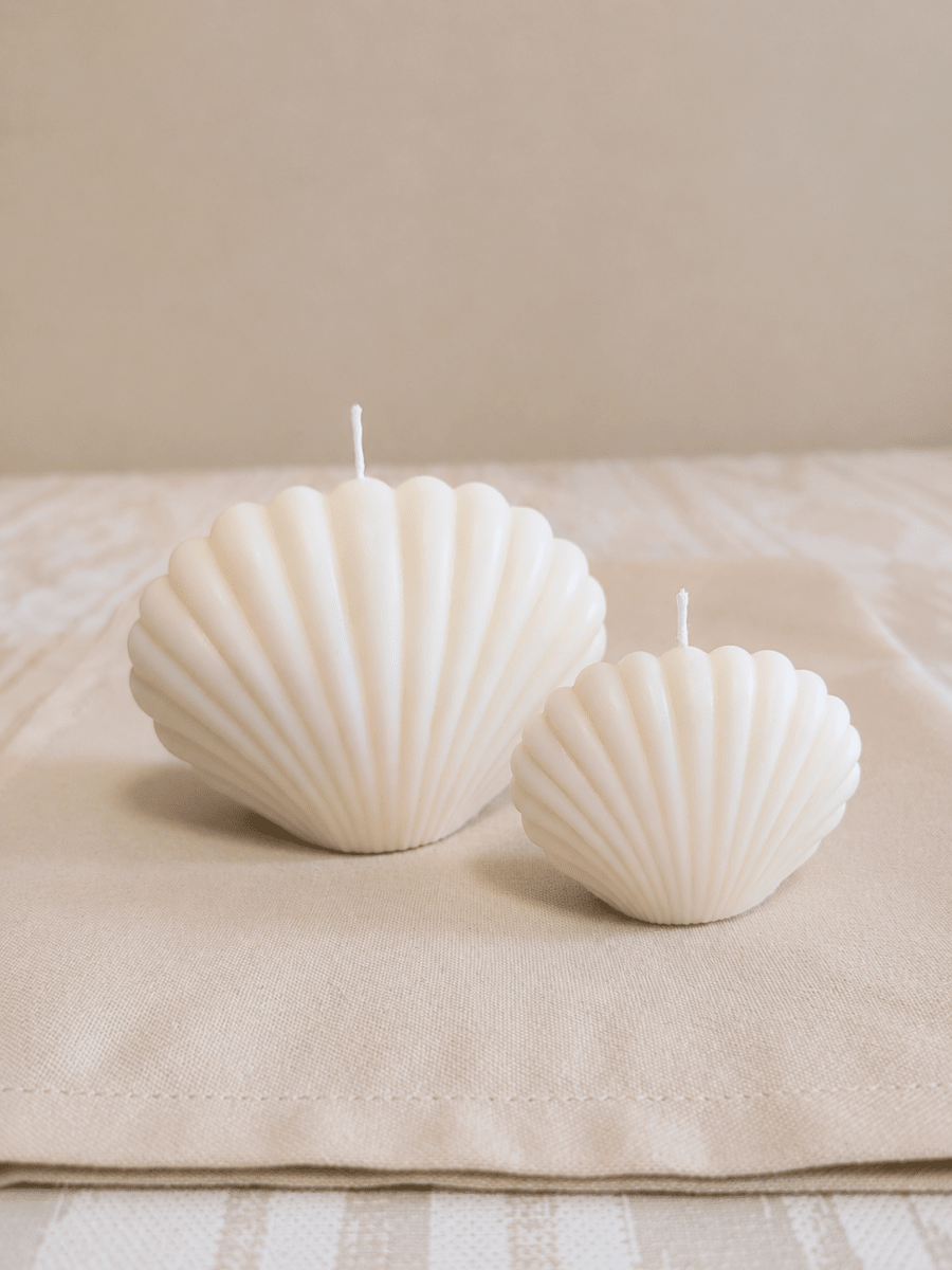 Pack Velas Concha - Amoris Essence