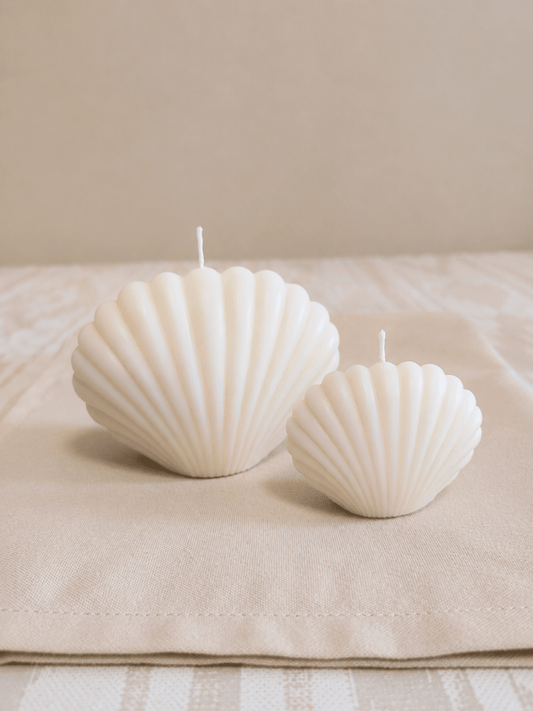 Pack Velas Concha - Amoris Essence